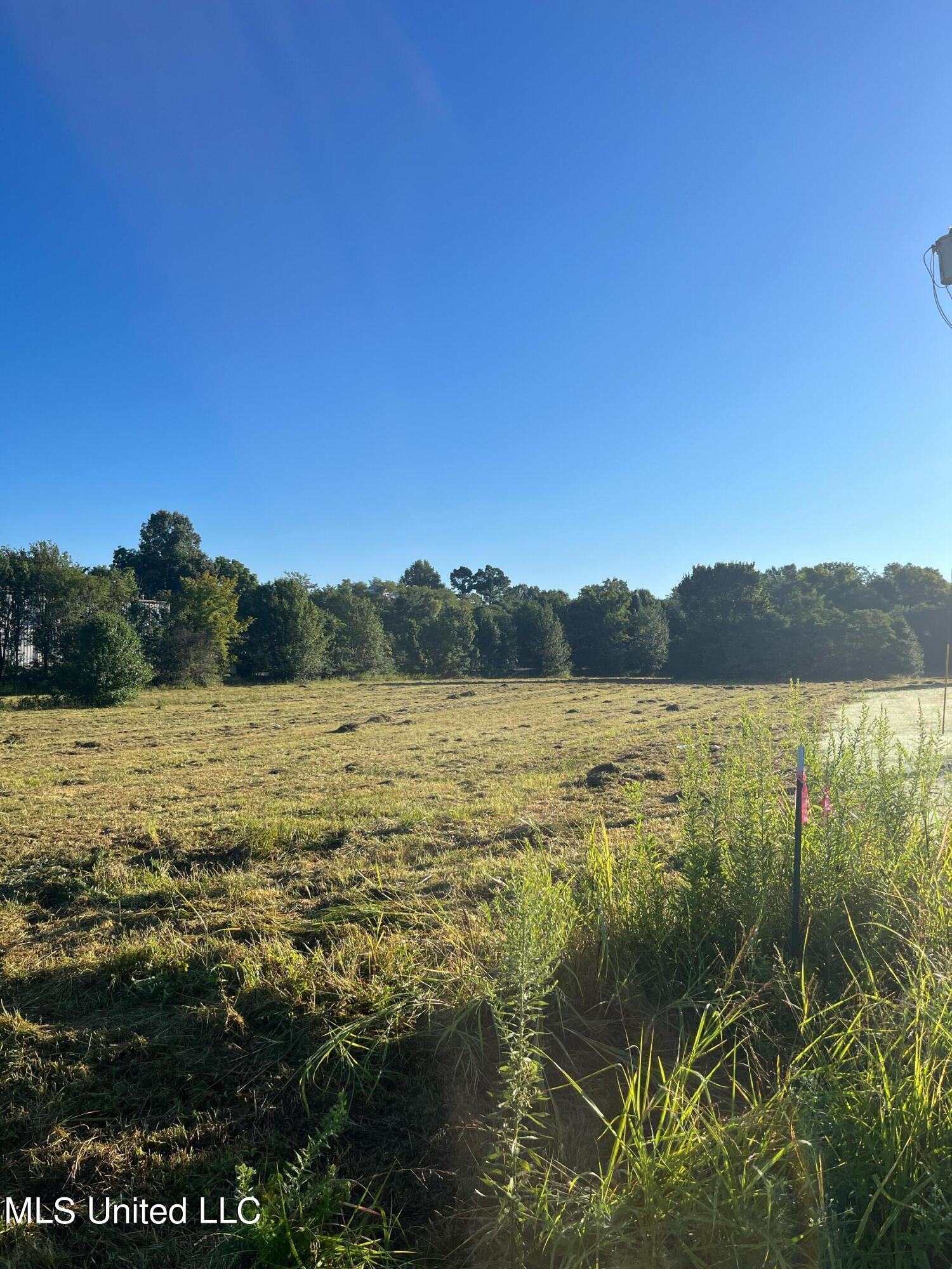 450 Vaiden Drive Property Photo 5