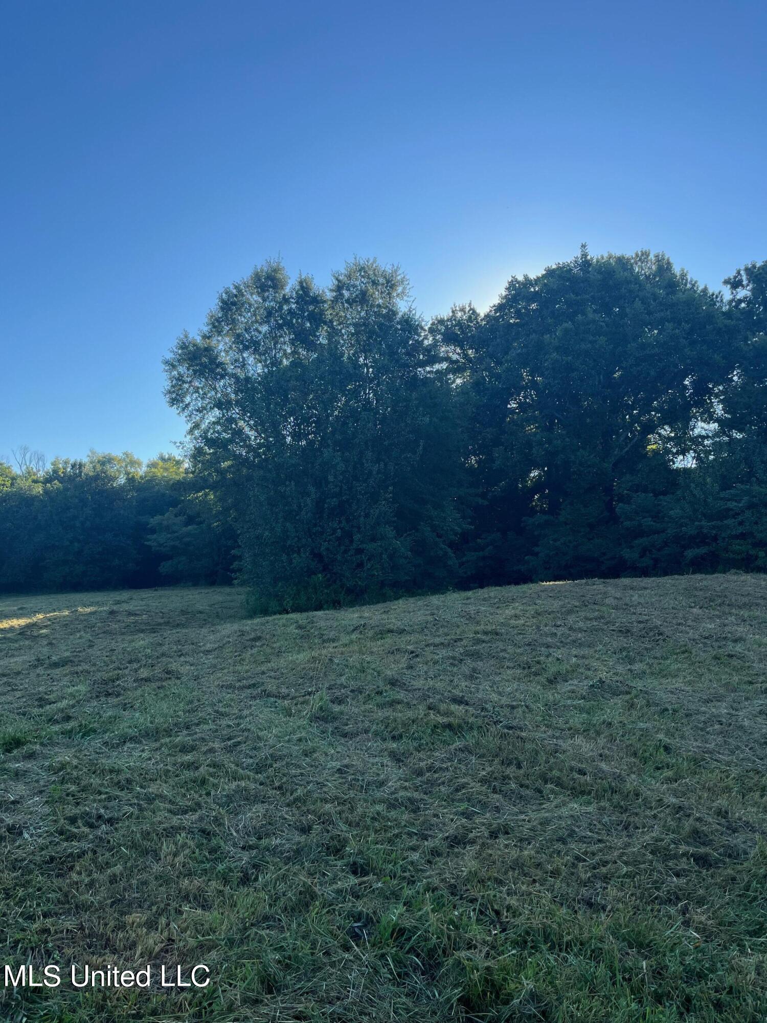 450 Vaiden Drive Property Photo 6