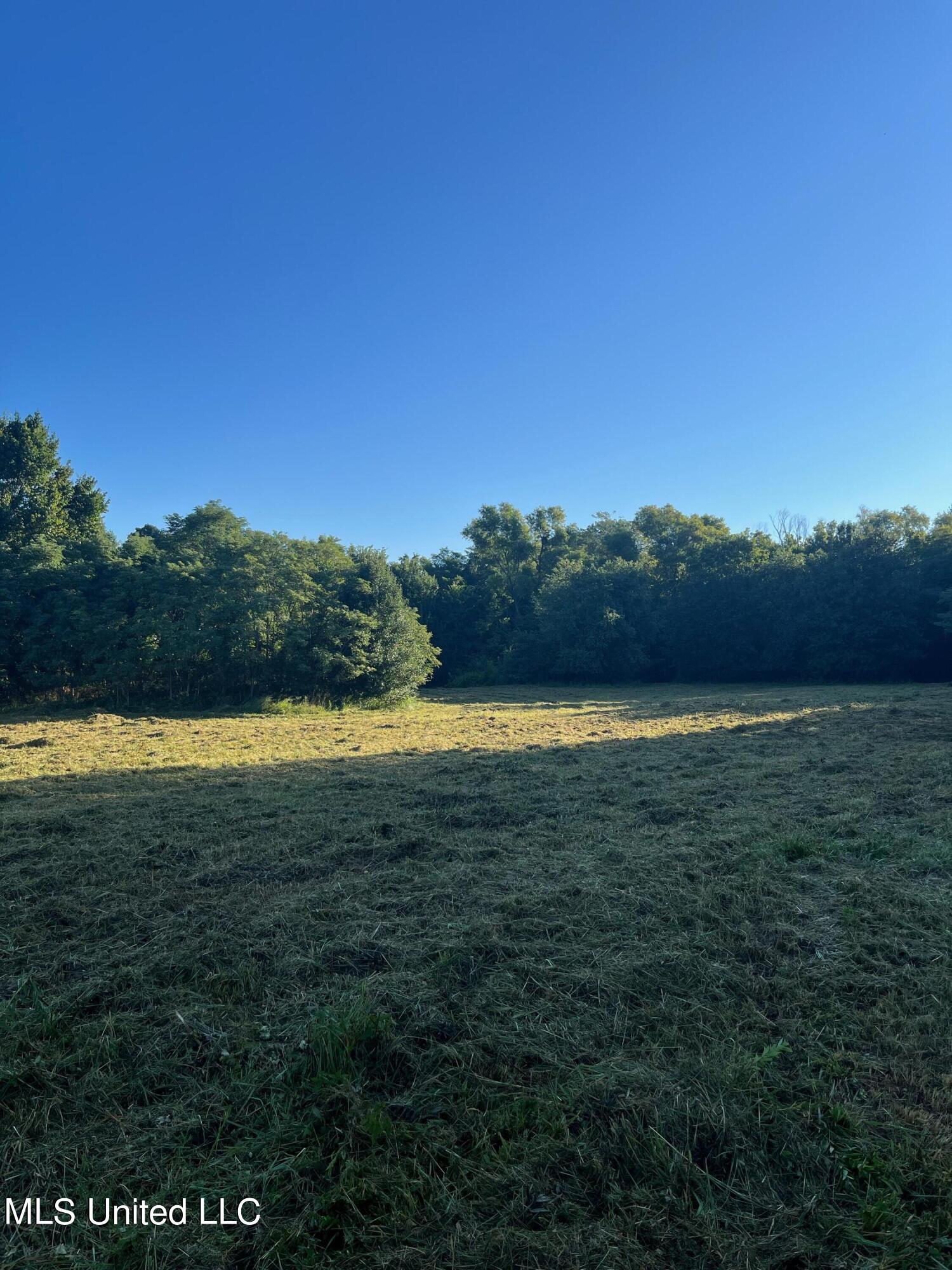 450 Vaiden Drive Property Photo 7