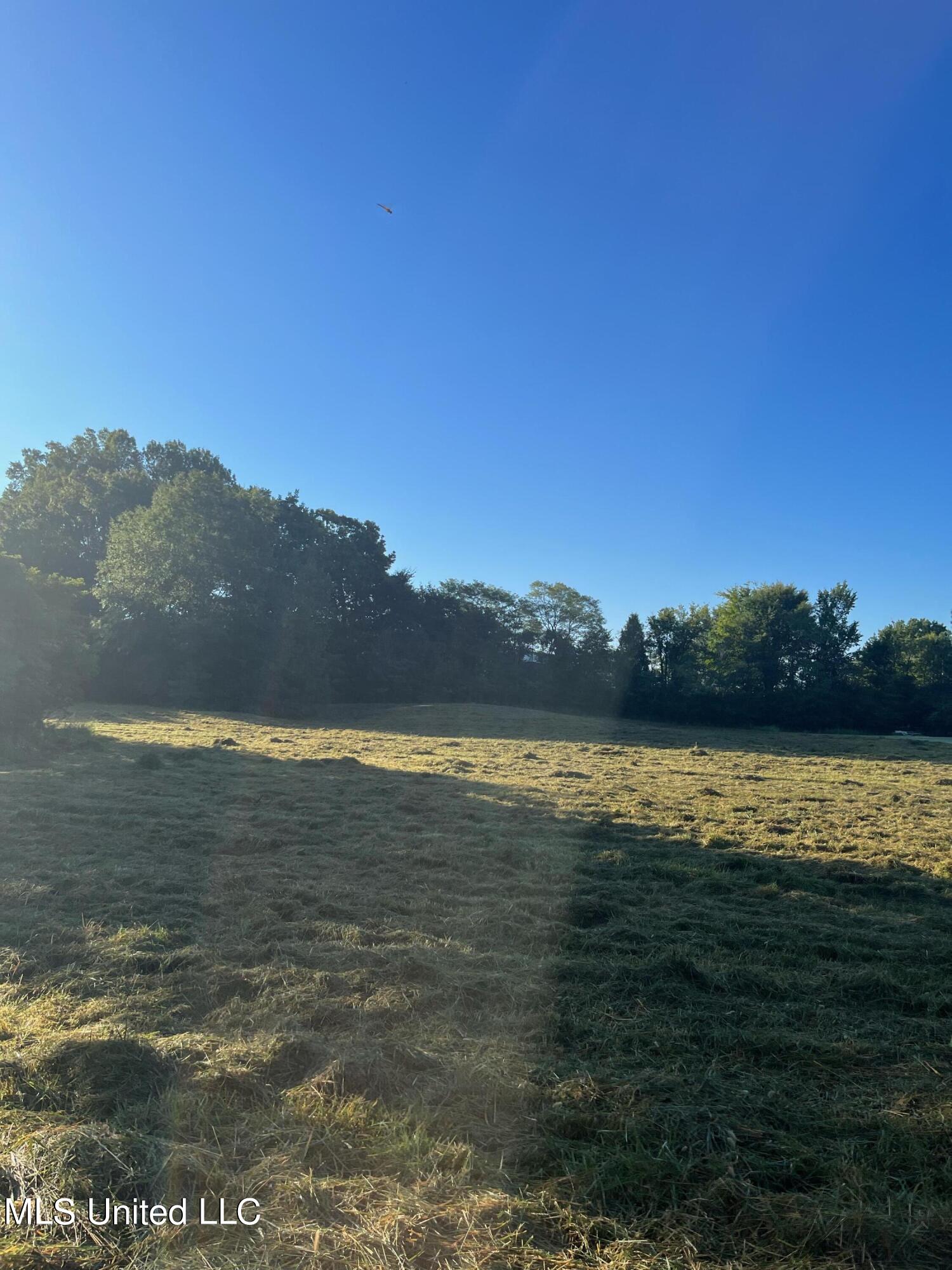 450 Vaiden Drive Property Photo 12