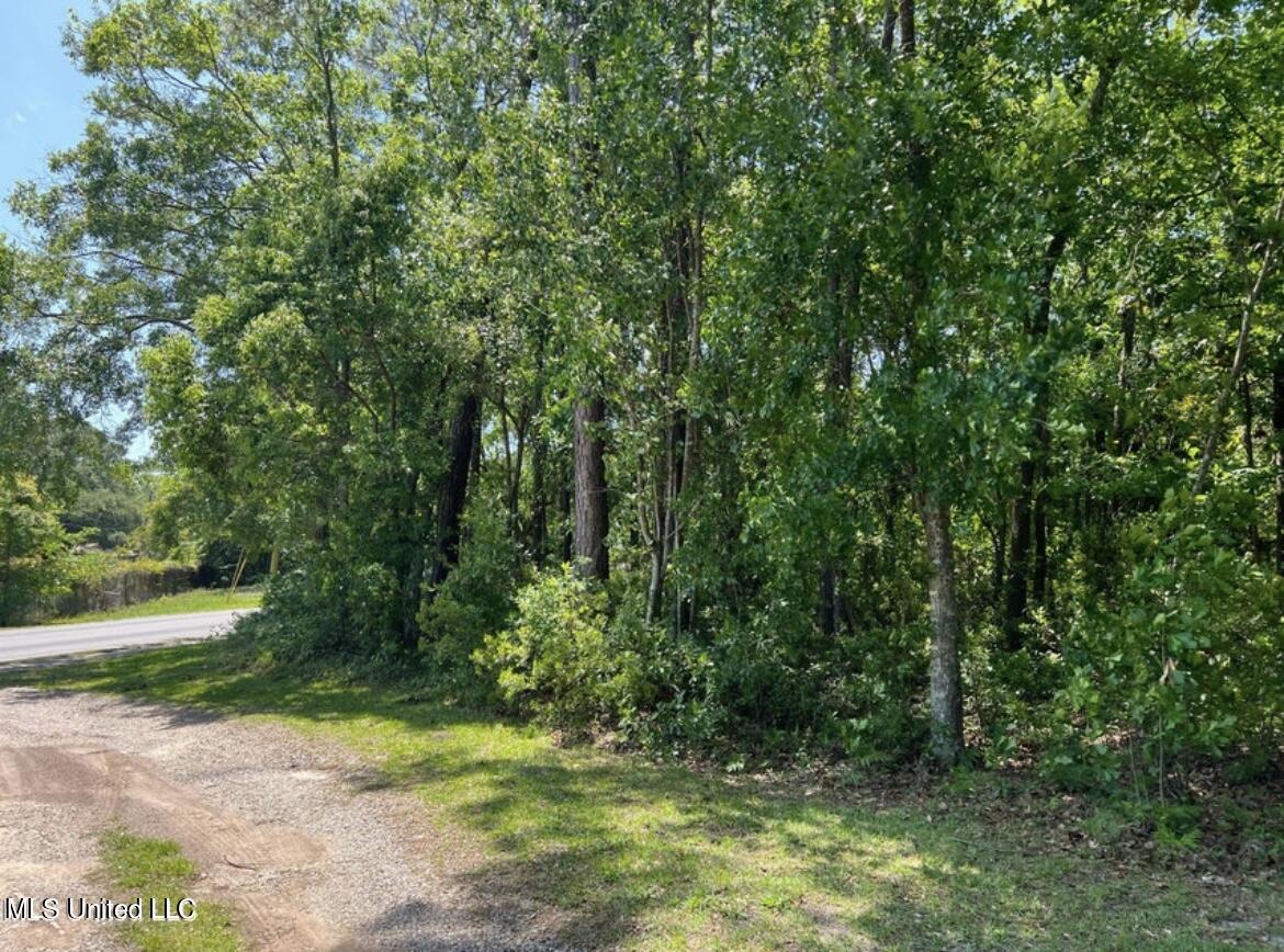 No Eden Street Property Photo 1