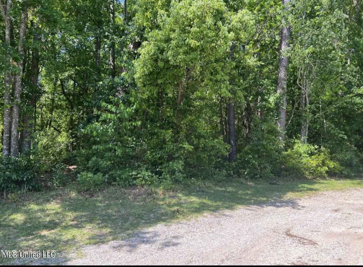 No Eden Street Property Photo 3