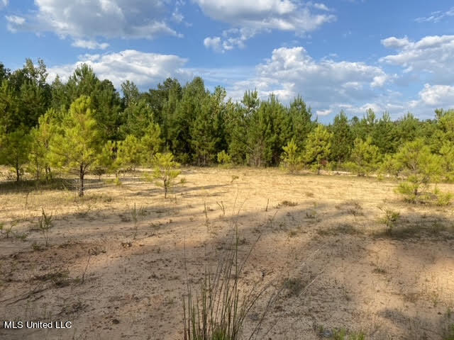 926 Virgin Mary Road Property Photo 1