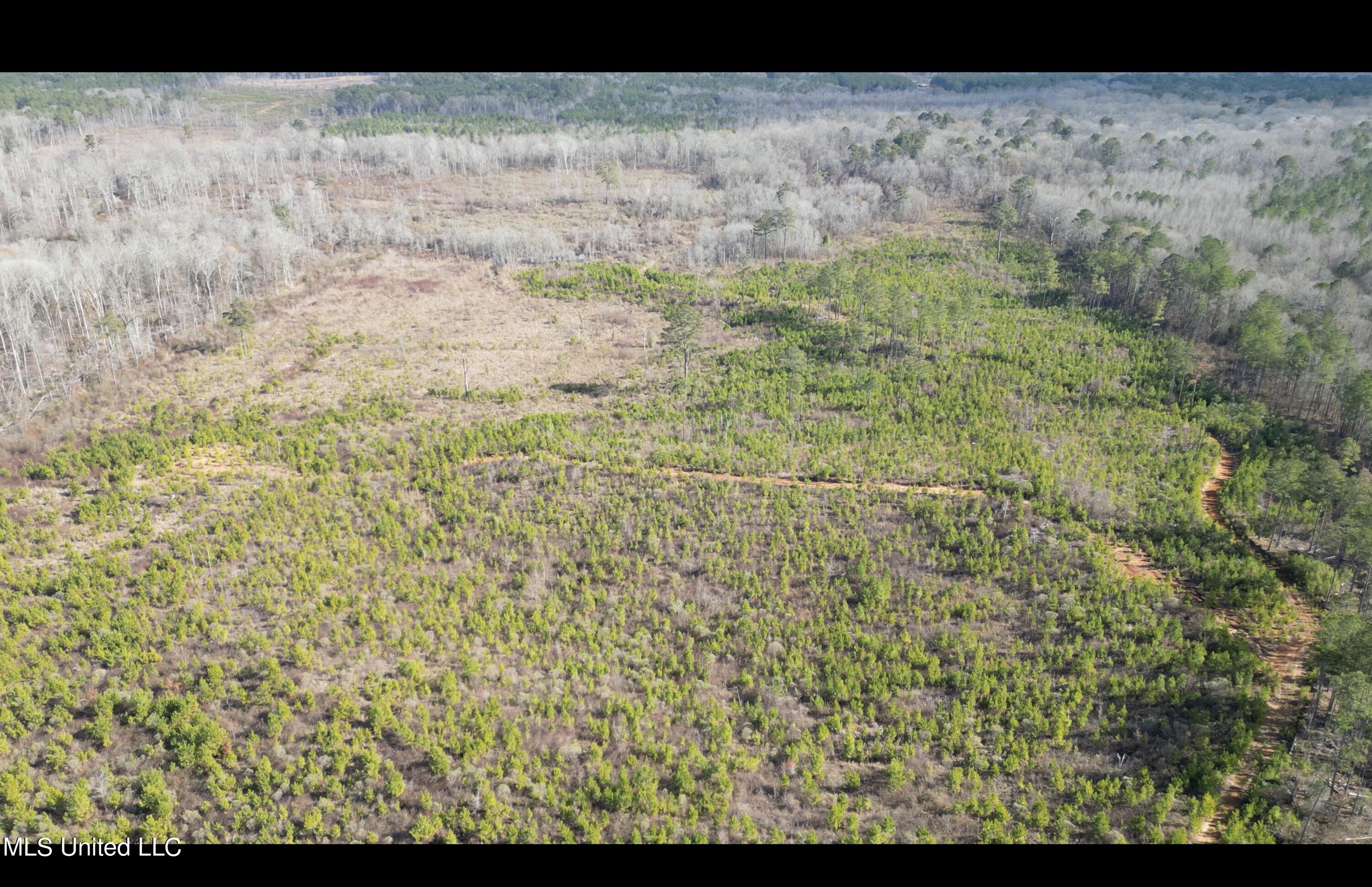 01 Highway 19 Property Photo 1