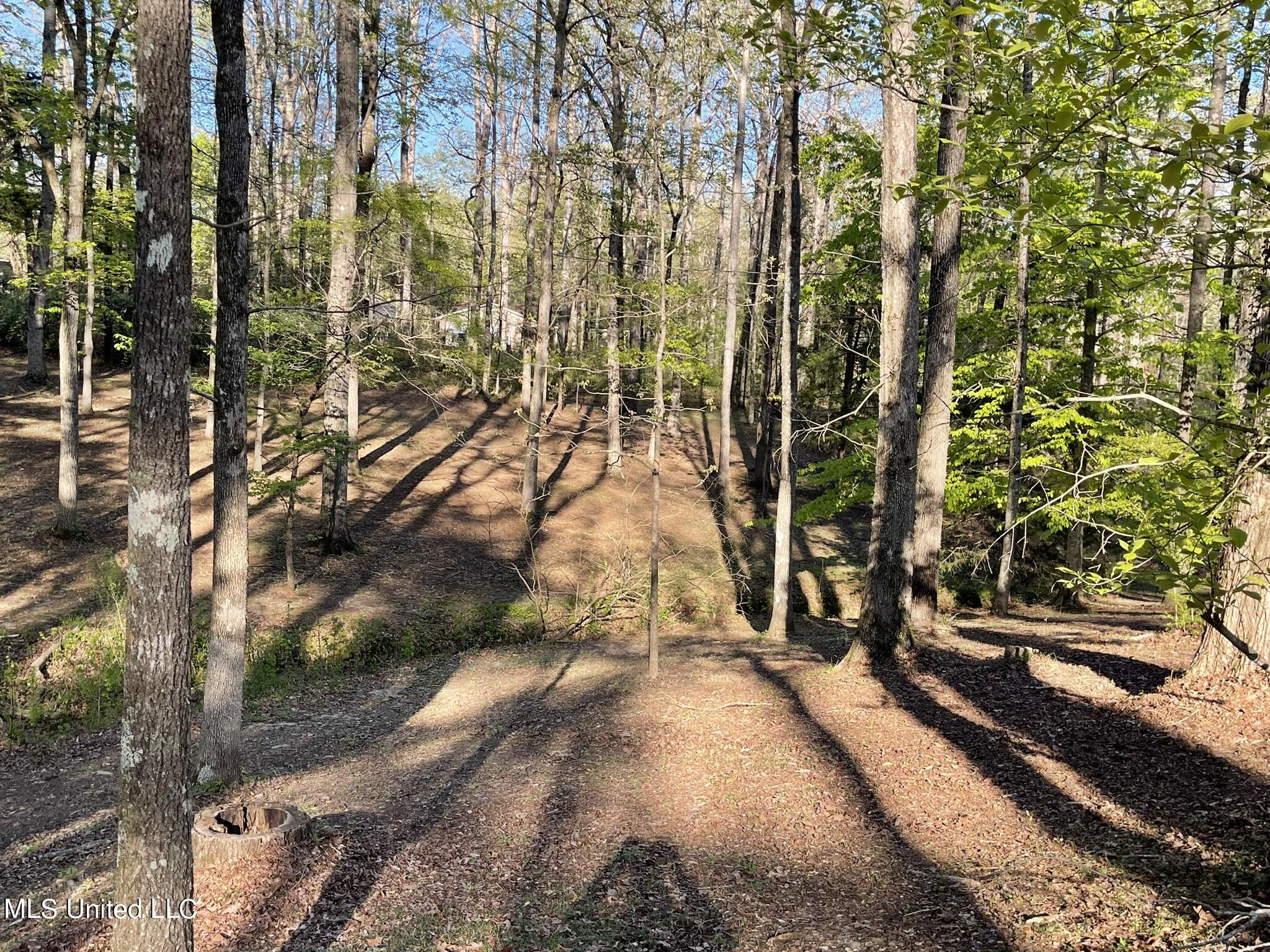 384 Ponta Hills Road Property Photo 2