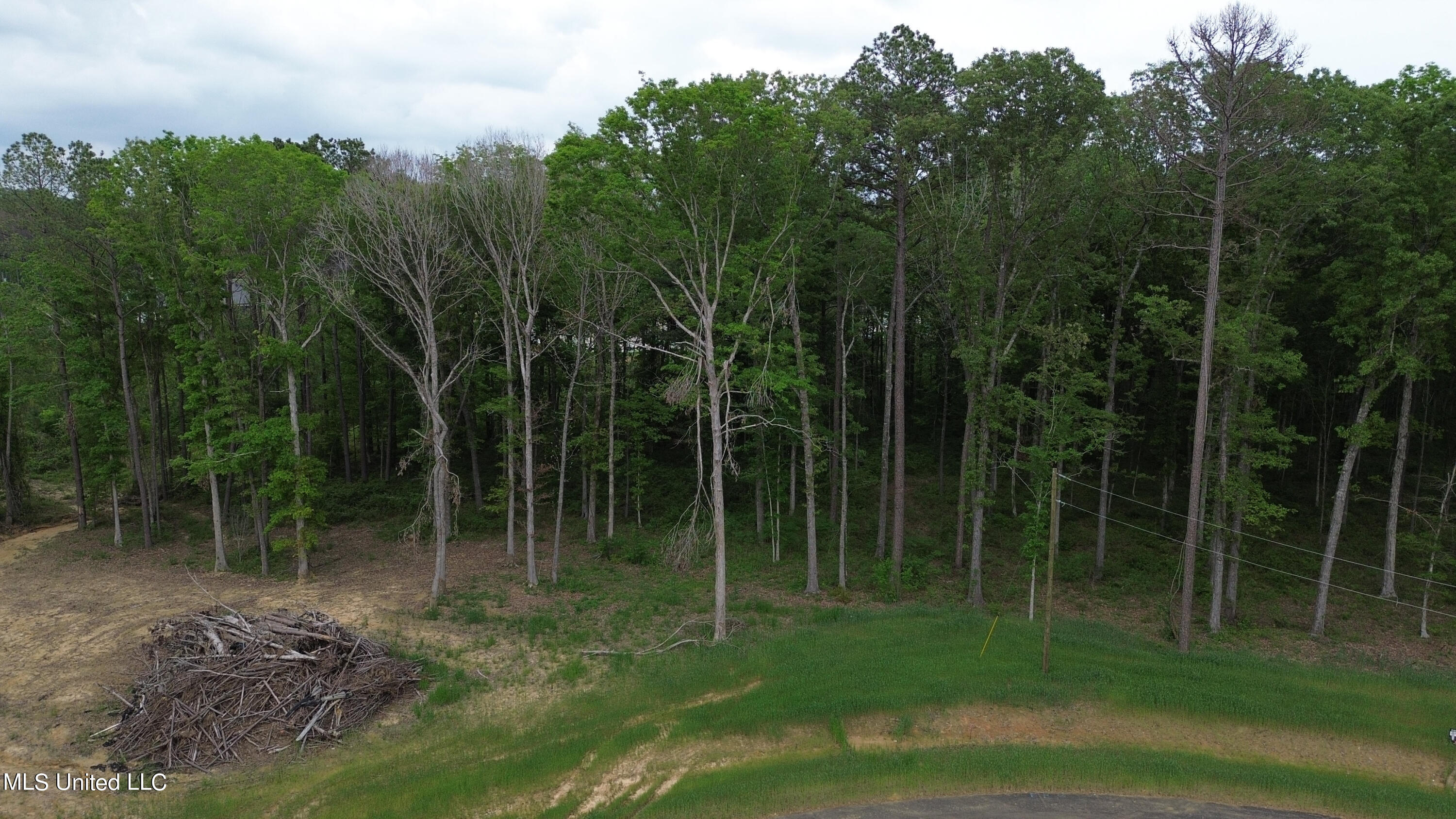 1227 Patriotic Circle Property Photo 1