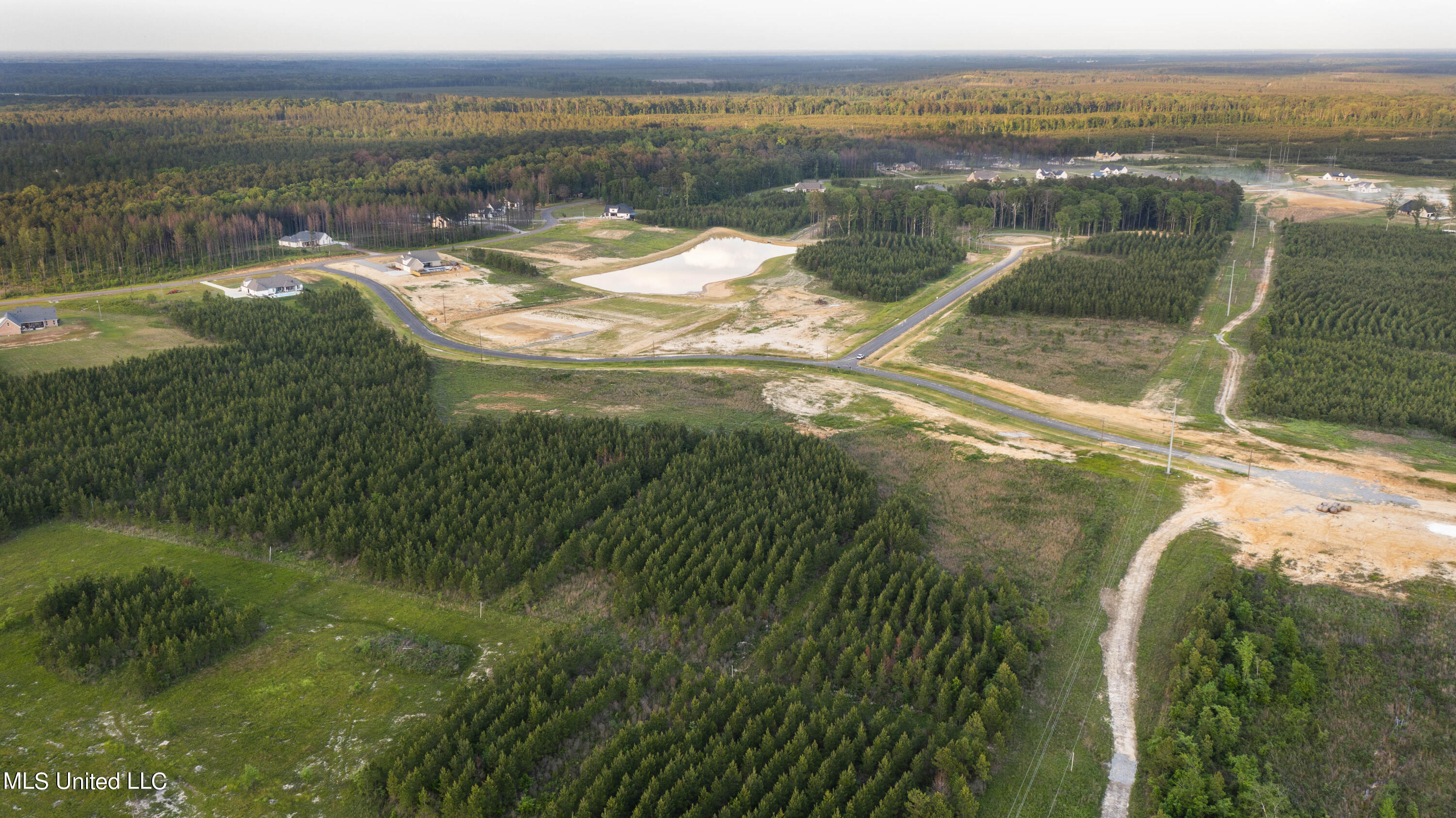 1021 Freedom Farms Crossing Property Photo 3