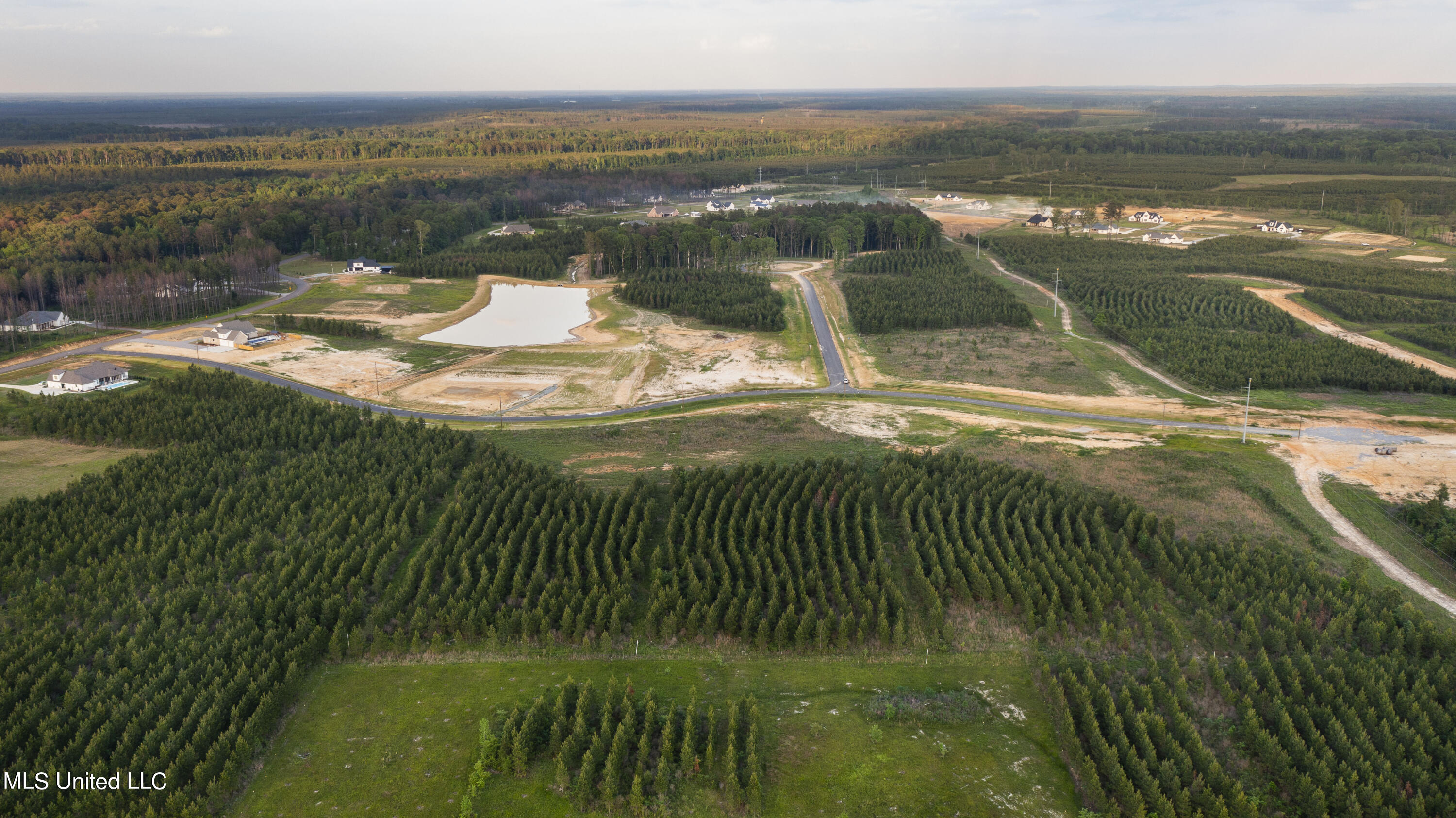 1025 Freedom Farms Crossing Property Photo 4