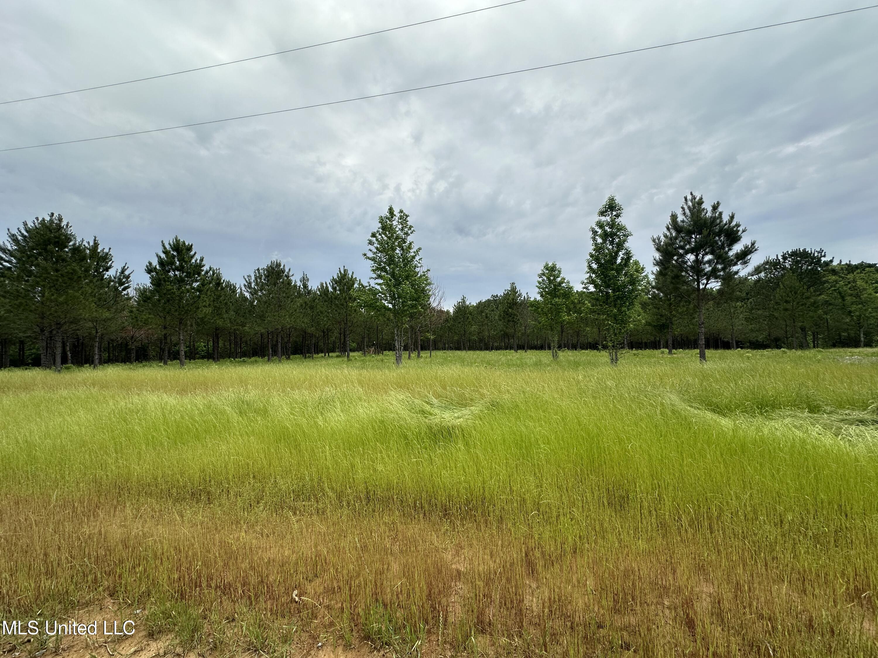 Stout Farms Drive Property Photo 1