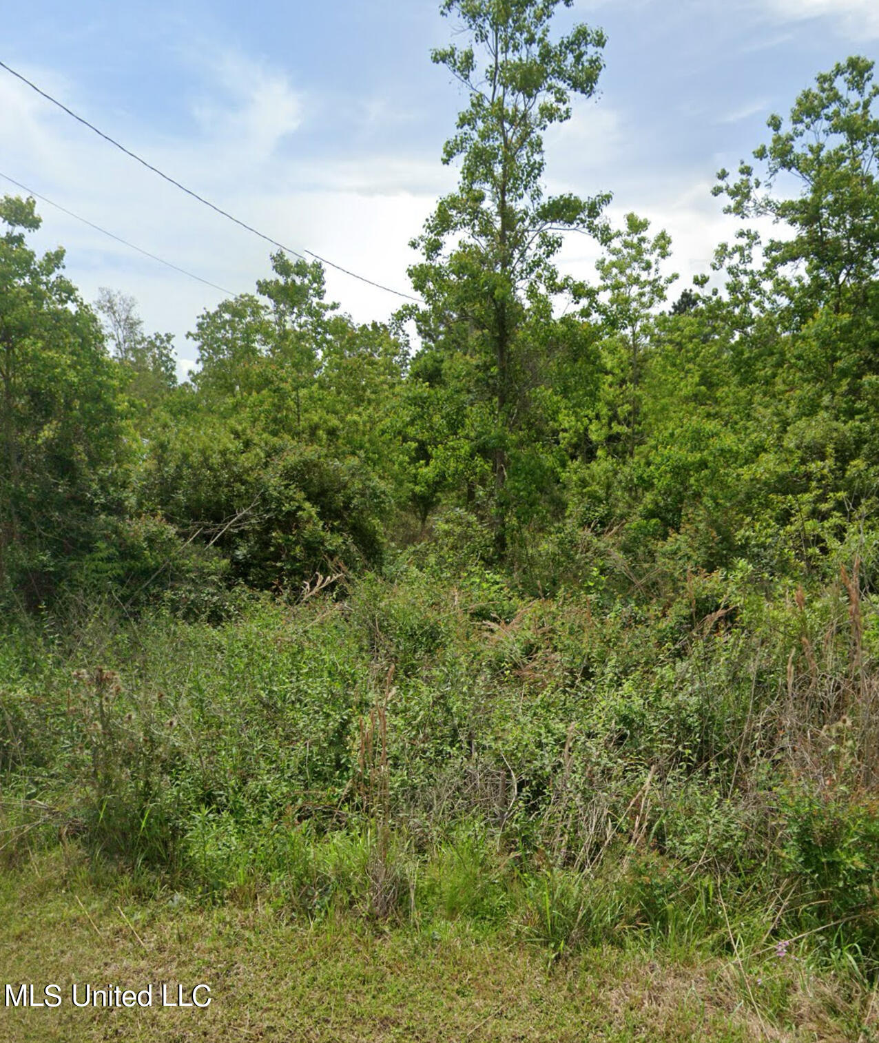 311 Roberts Street Property Photo 1