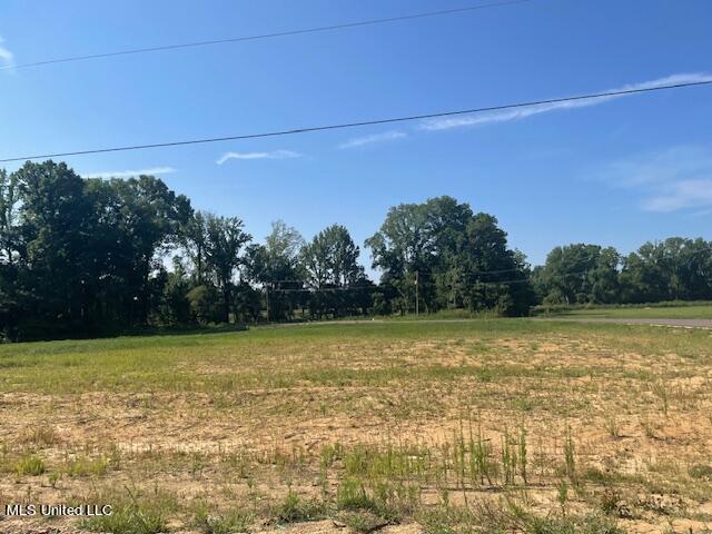 5336 Cane Creek Cove Property Photo 1