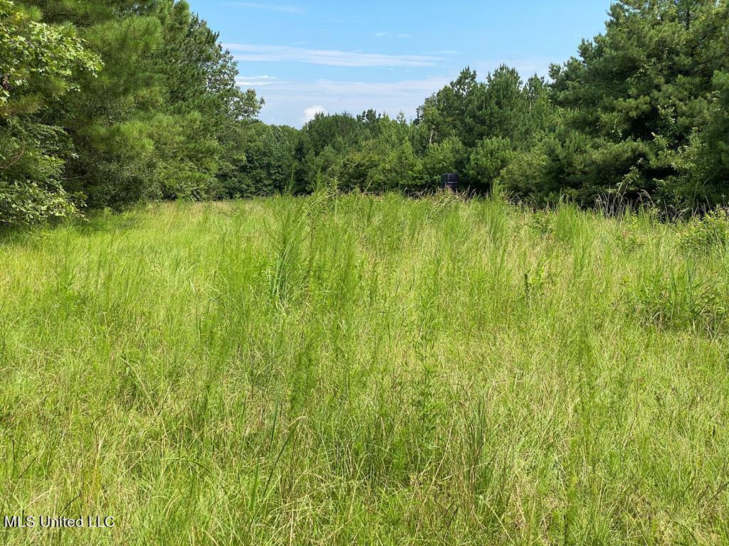 2697 River Road Property Photo 1