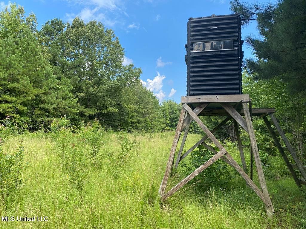 2697 River Road Property Photo 6