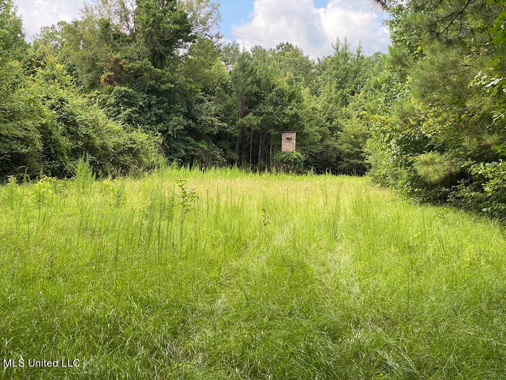 2697 River Road Property Photo 7