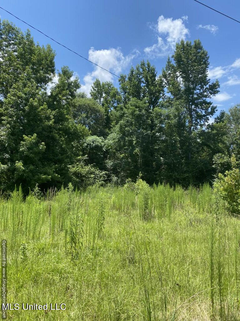 2697 River Road Property Photo 9