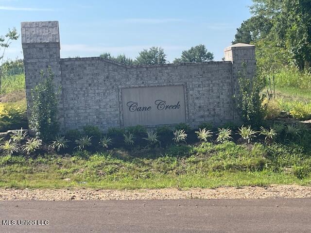 5337 Cane Creek Cove Property Photo 1