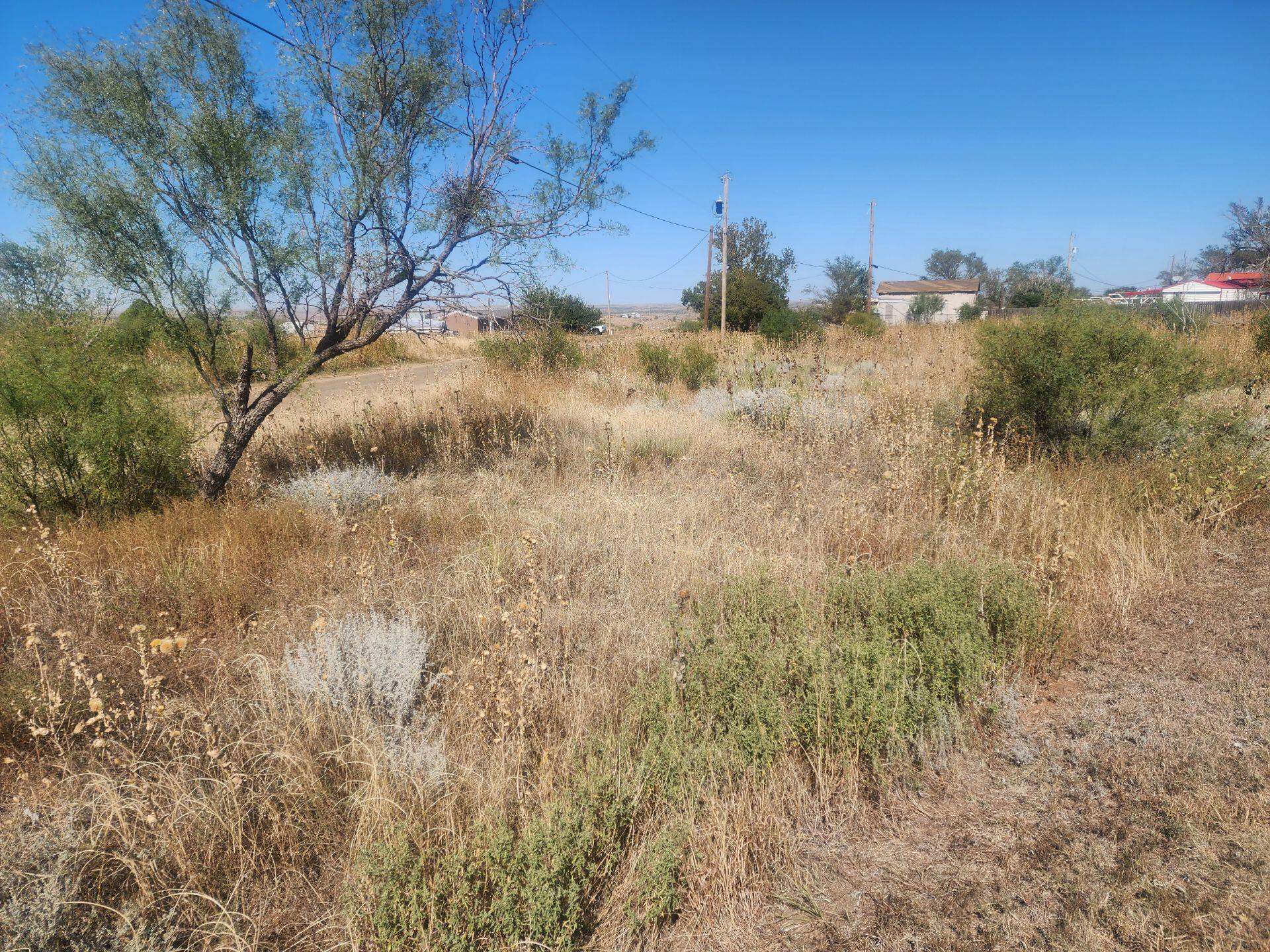 Todd Street Property Photo