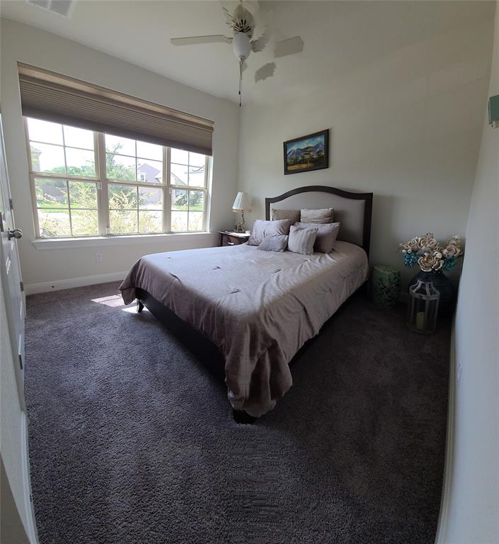 4313 Promontory Point Trl Property Photo 10