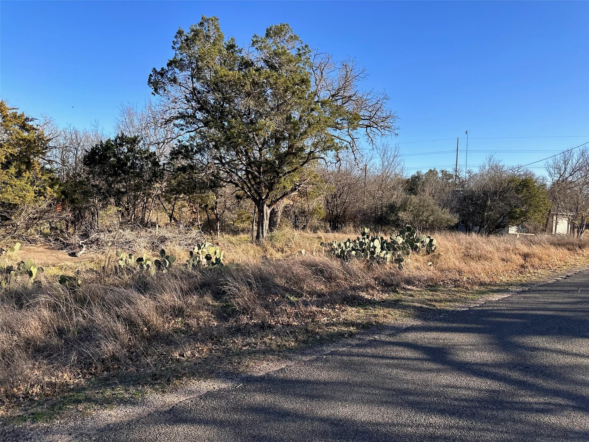 Lot212 Pecan Ln Property Photo 1