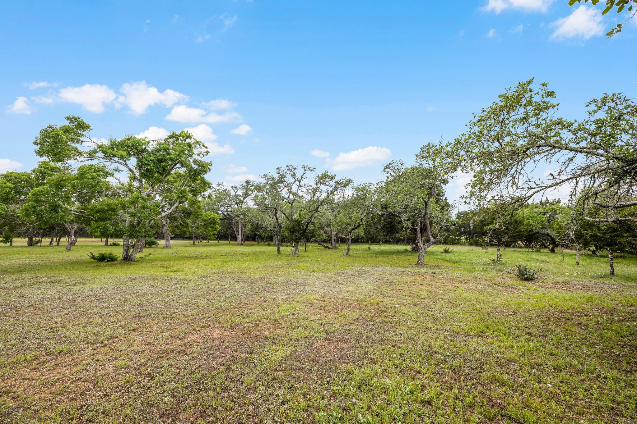 100 Blue Creek Dr Property Photo 10