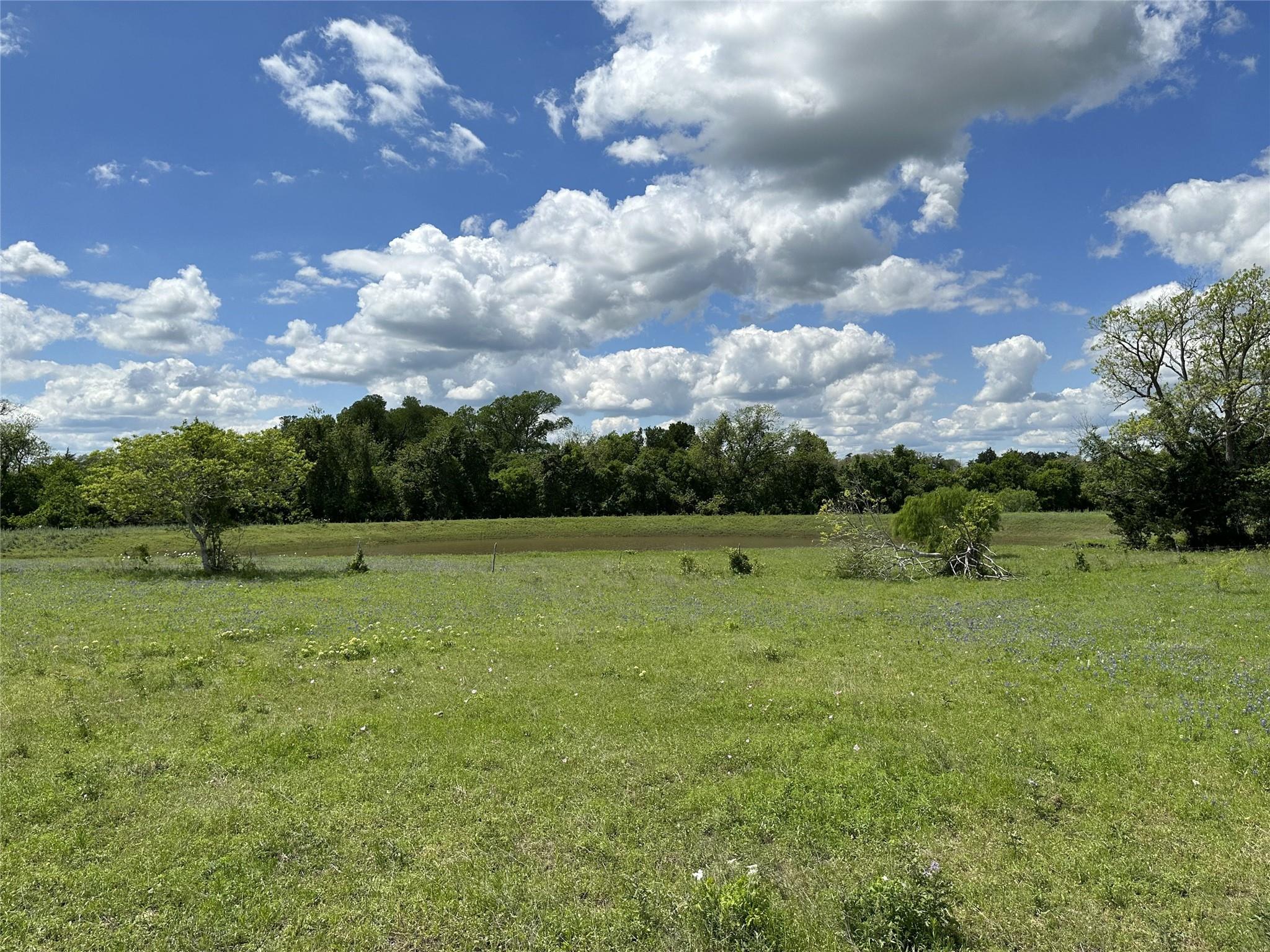 Tbd - Lot 4 County Road 222 Property Photo