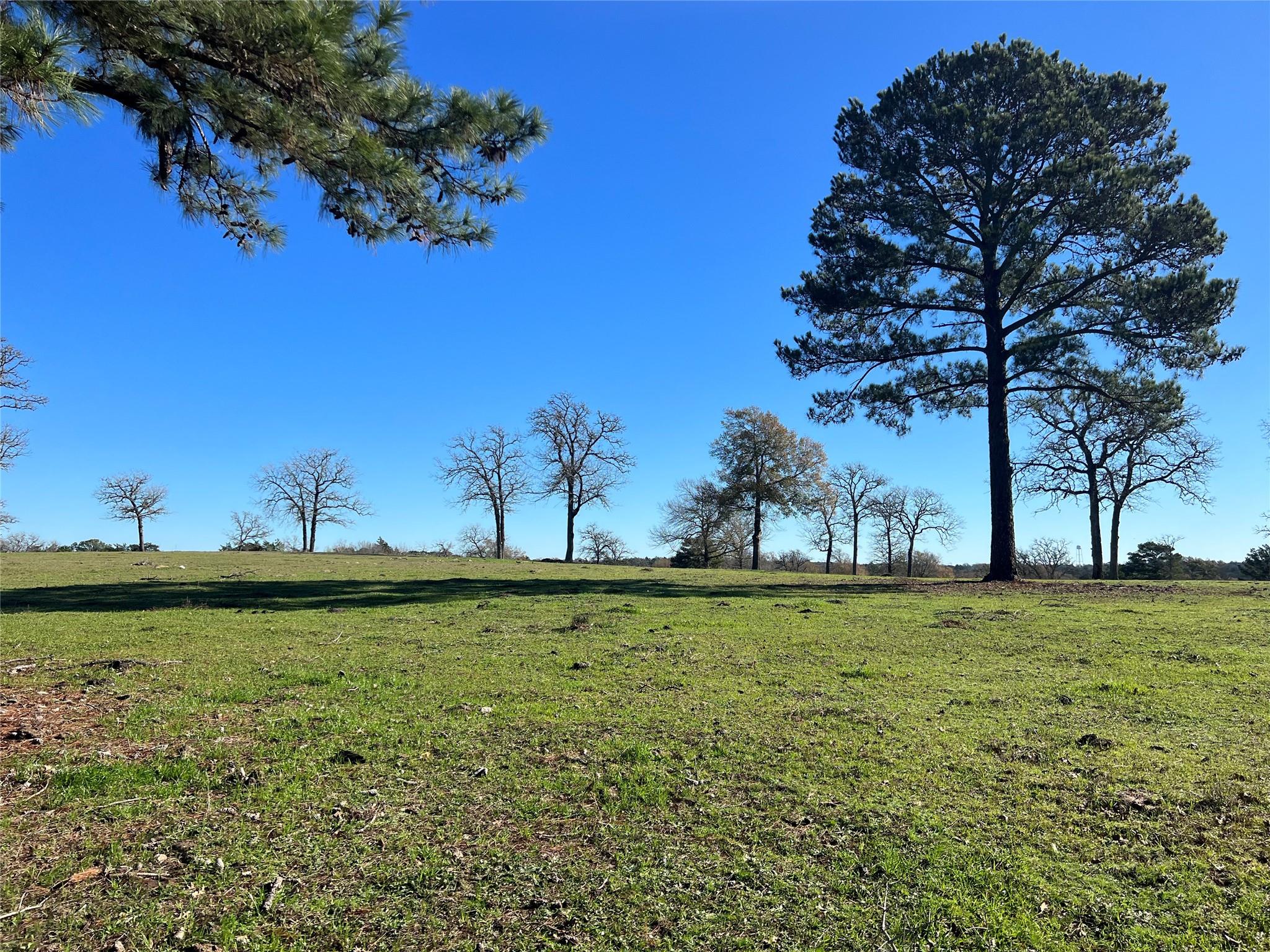 212 Meuth Cemetery Rd Property Photo