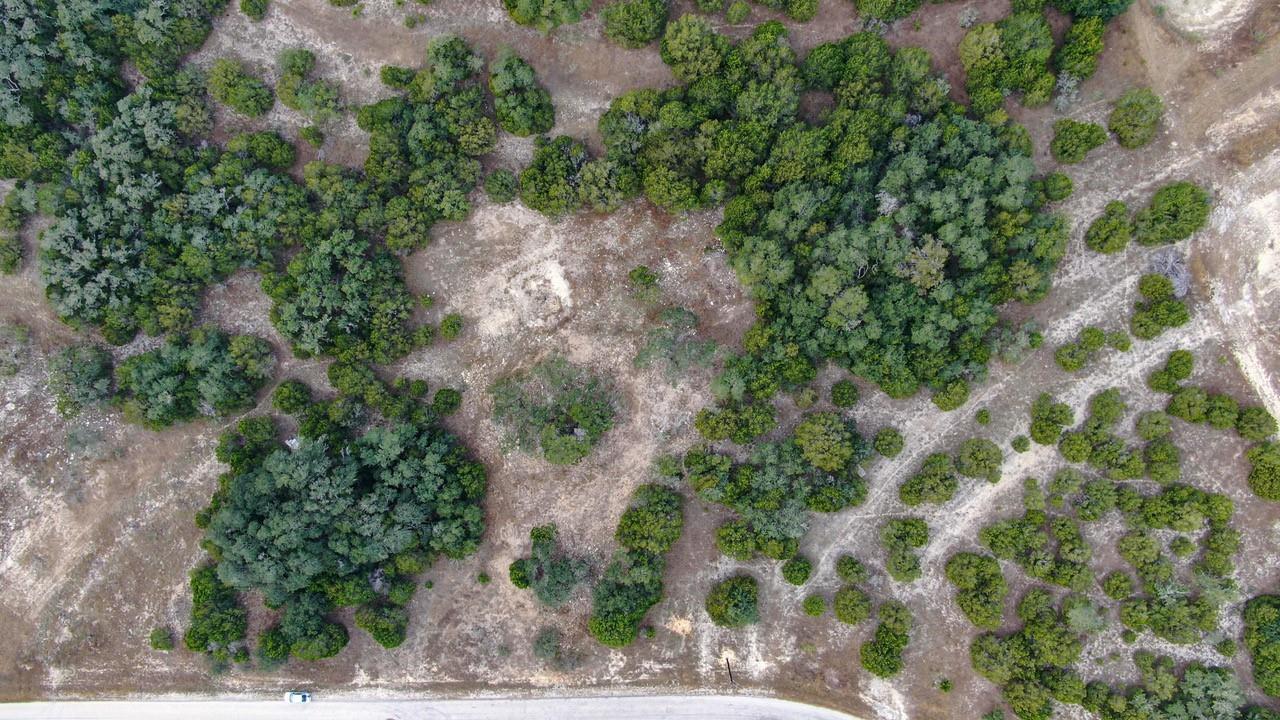 325 Ridge Pt Property Photo 15