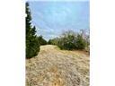 8601 Trimmier Rd Property Photo 4