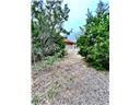 8601 Trimmier Rd Property Photo 5