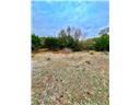 8601 Trimmier Rd Property Photo 7