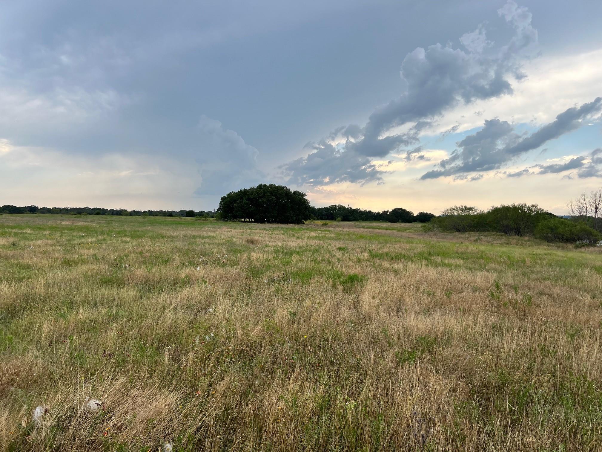 Tract 12 Fm 1702 Property Photo 2