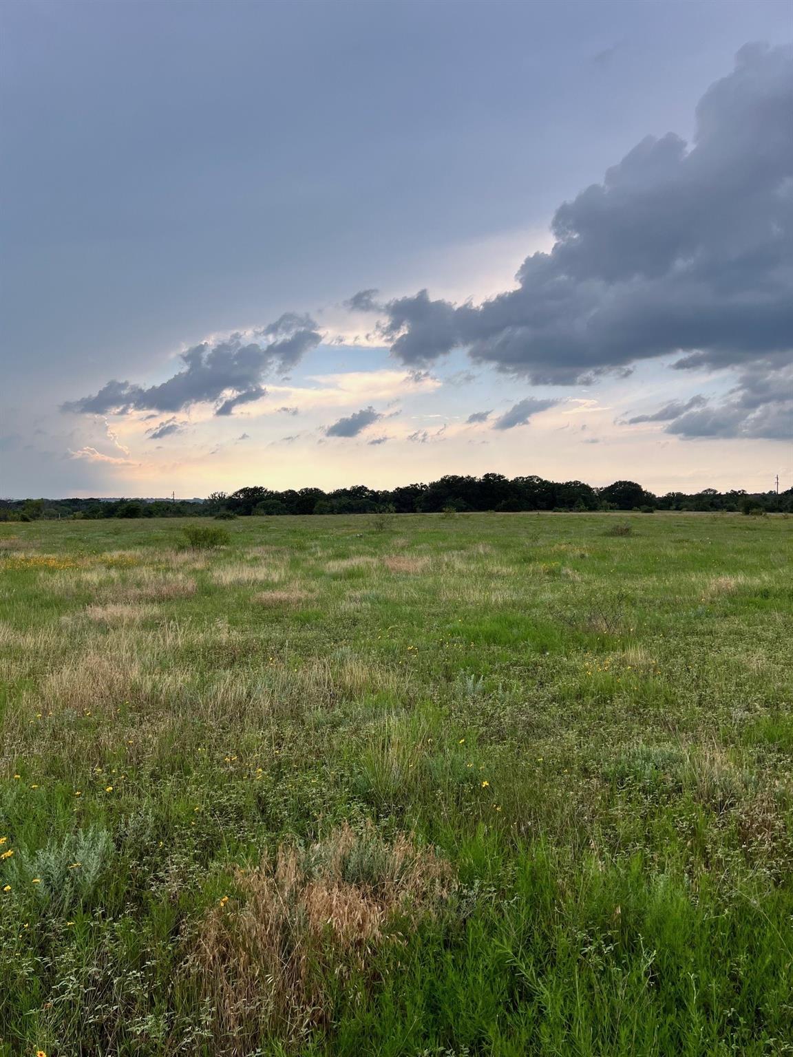 Tract 12 Fm 1702 Property Photo 4