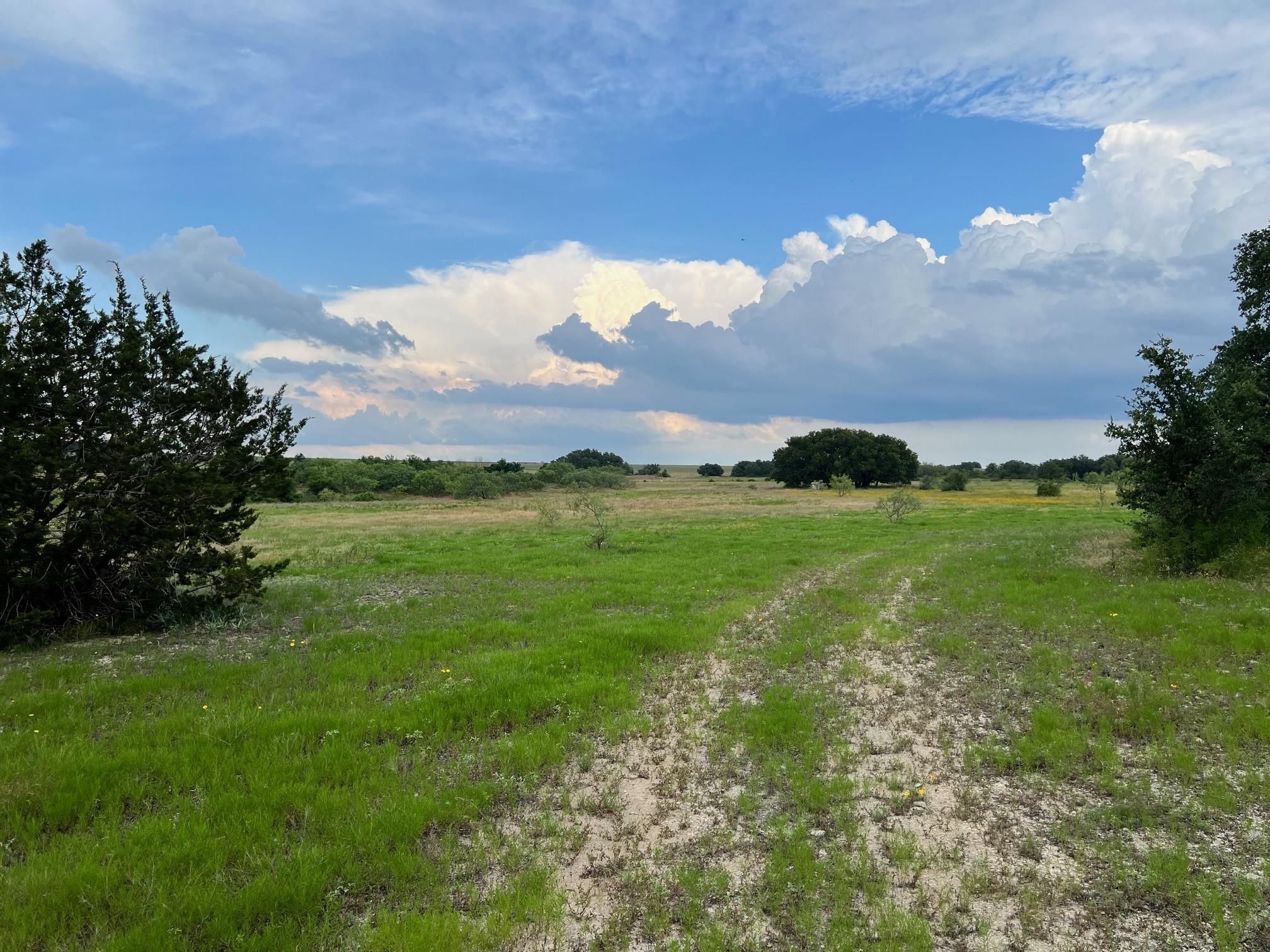 Tract 12 Fm 1702 Property Photo 10