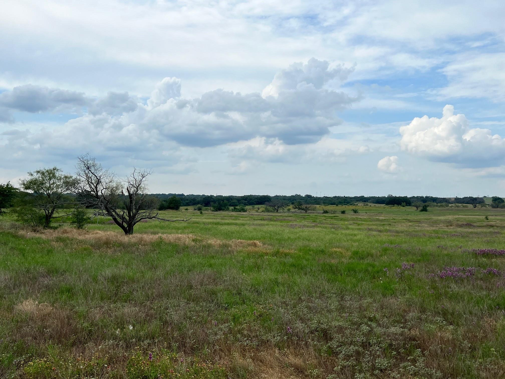 Tract 12 Fm 1702 Property Photo 14