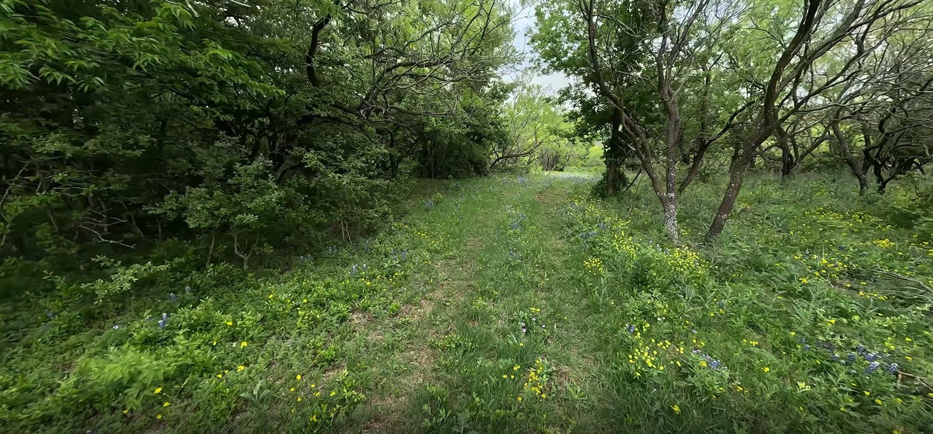 3955 Blue Cut Rd N Property Photo 19