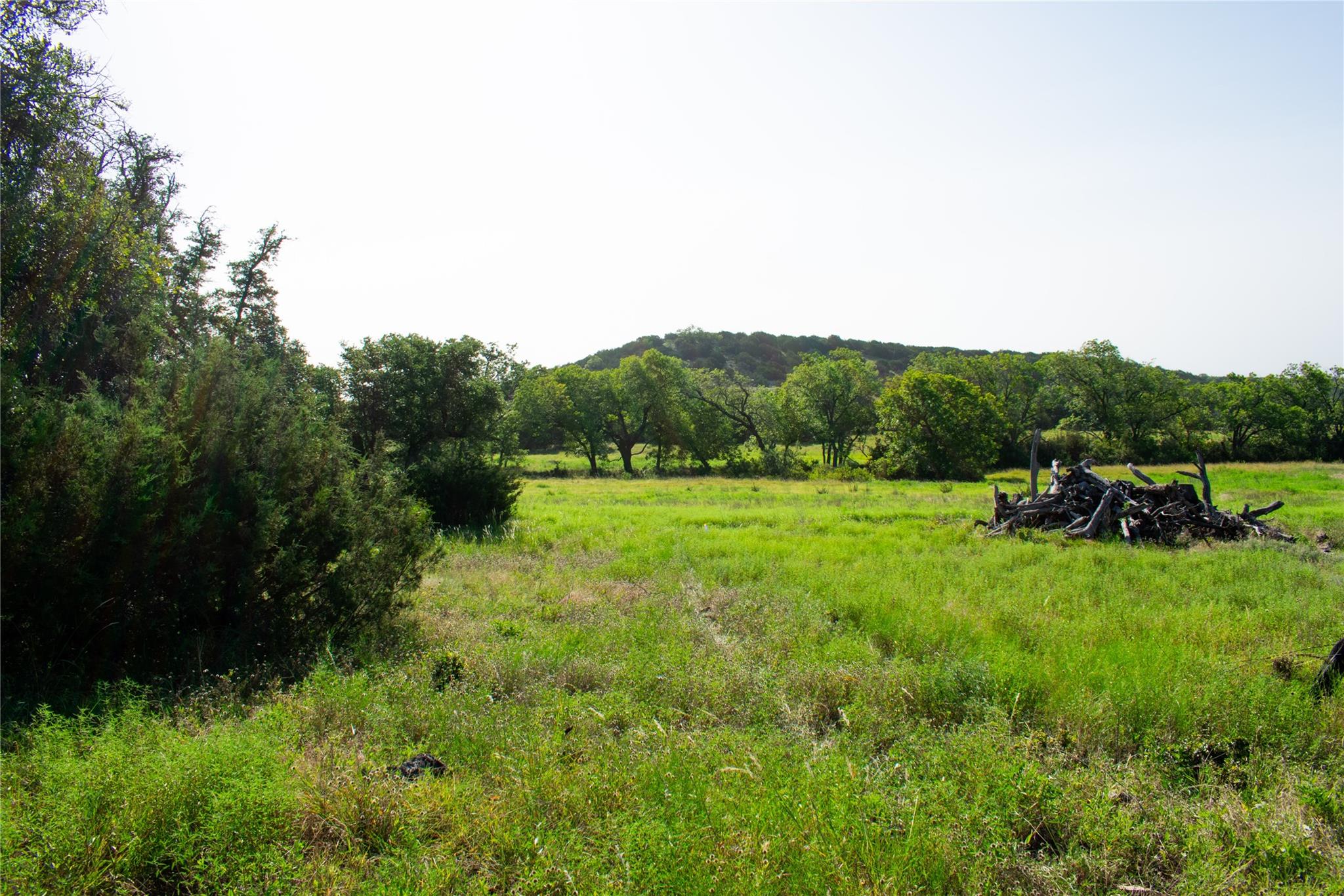 Tbd Fm 581 Property Photo 32