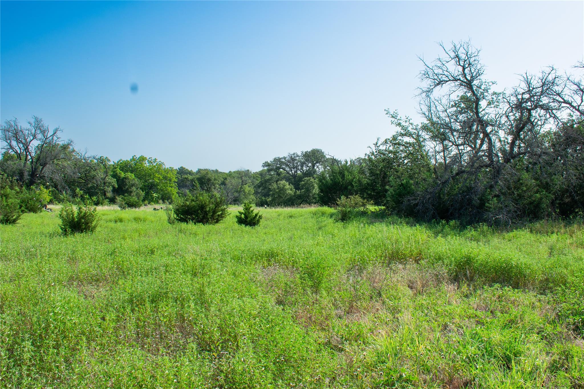 Tbd Fm 581 Property Photo 33