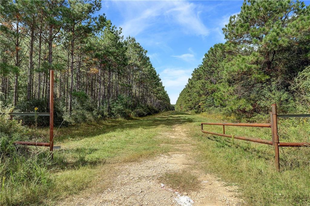 20760 Old Highway 105 Property Photo 18