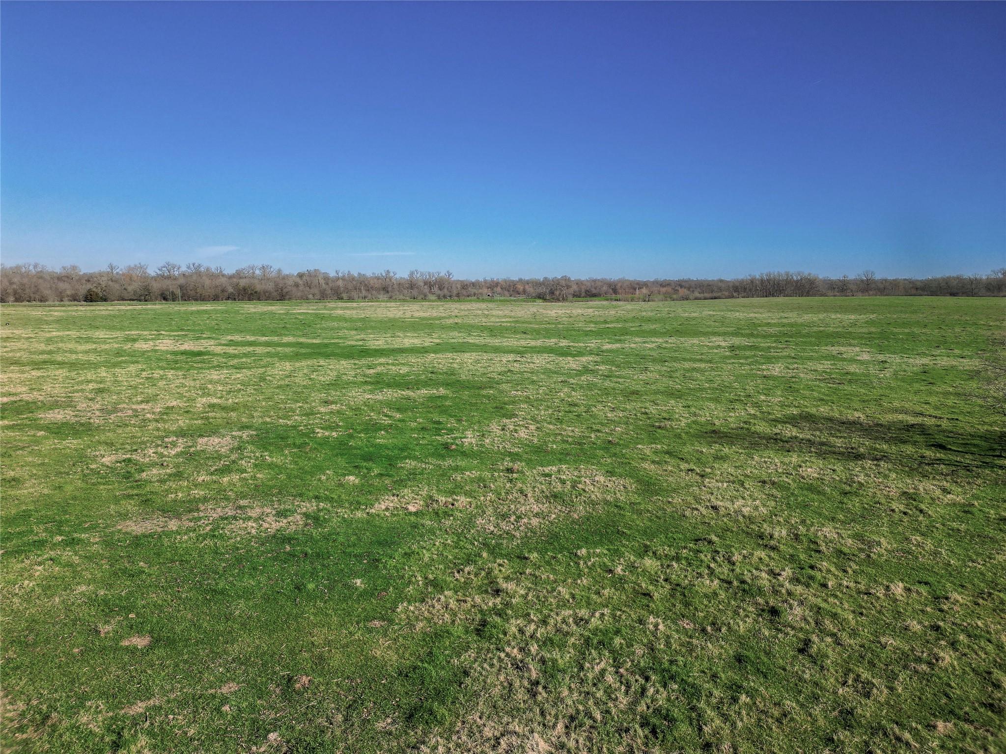 000 Hwy 79 Property Photo 8
