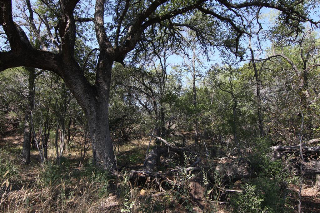 Lot 78 Laurel Wood Ct Property Photo 15
