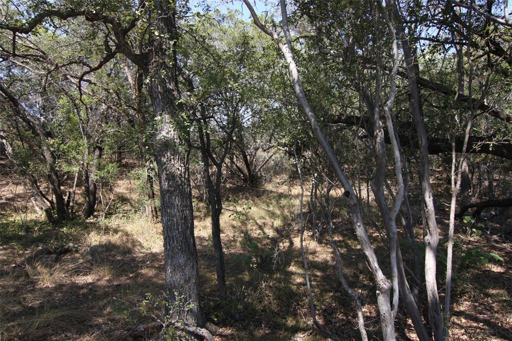 Lot 78 Laurel Wood Ct Property Photo 19