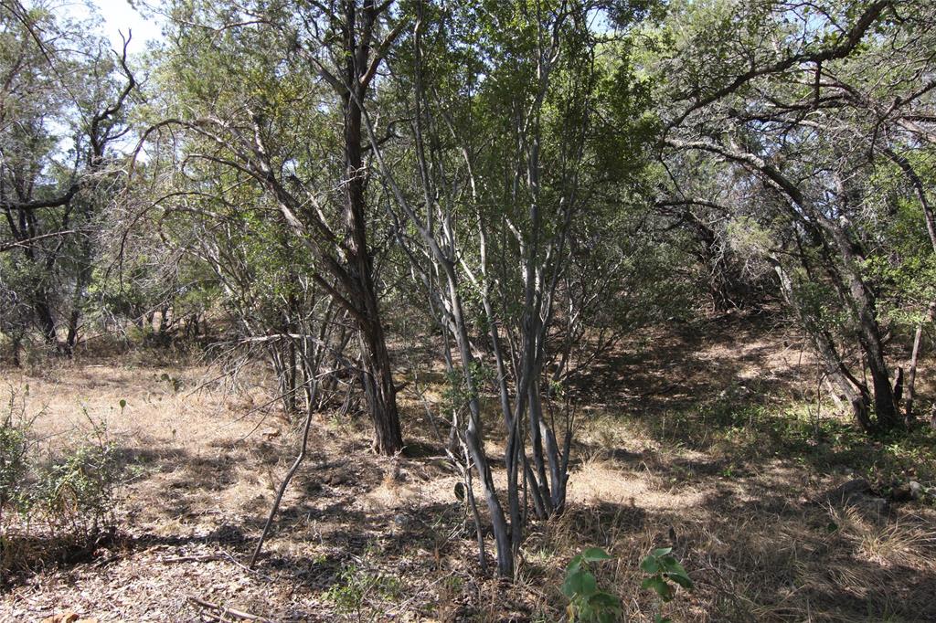 Lot 78 Laurel Wood Ct Property Photo 22