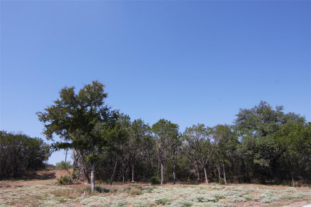 Lot 78 Laurel Wood Ct Property Photo 27