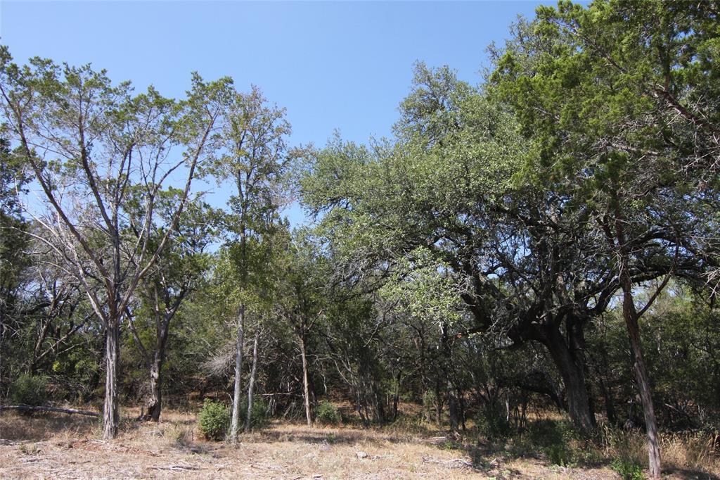Lot 78 Laurel Wood Ct Property Photo 28