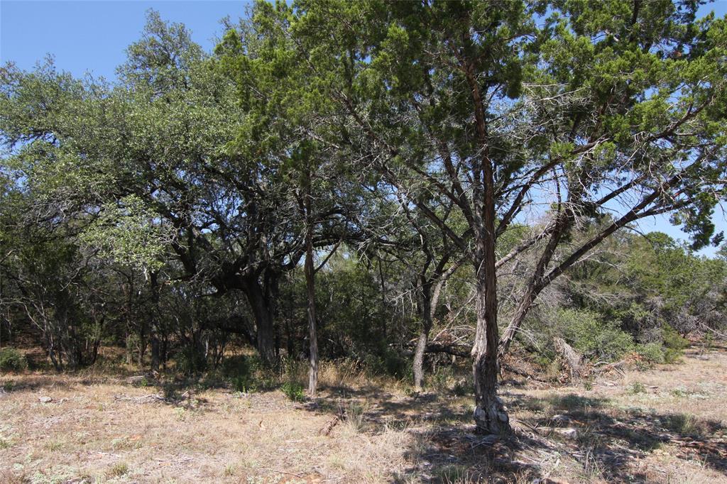 Lot 78 Laurel Wood Ct Property Photo 29
