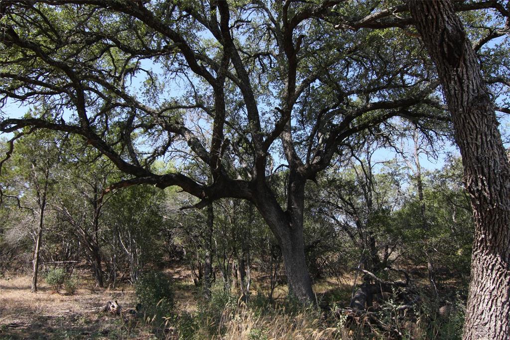 Lot 78 Laurel Wood Ct Property Photo 30