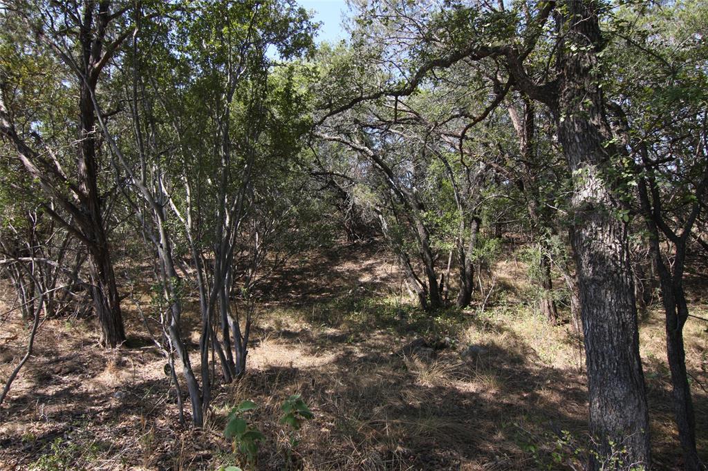 Lot 78 Laurel Wood Ct Property Photo 31