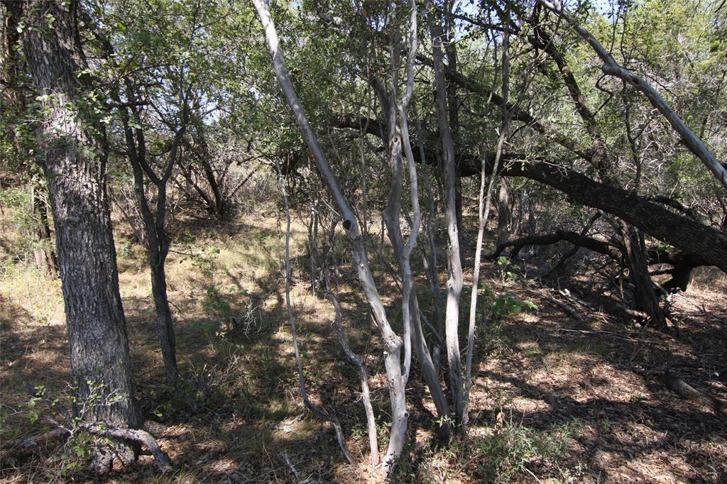 Lot 78 Laurel Wood Ct Property Photo 32