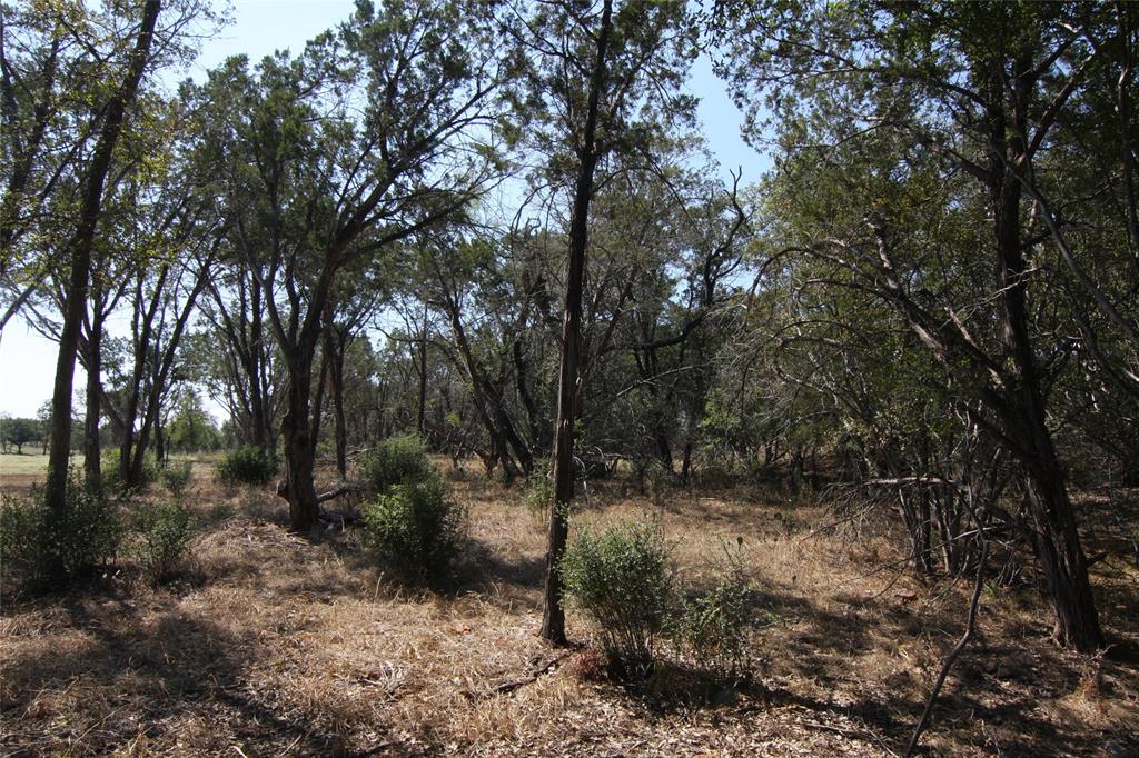 Lot 78 Laurel Wood Ct Property Photo 33