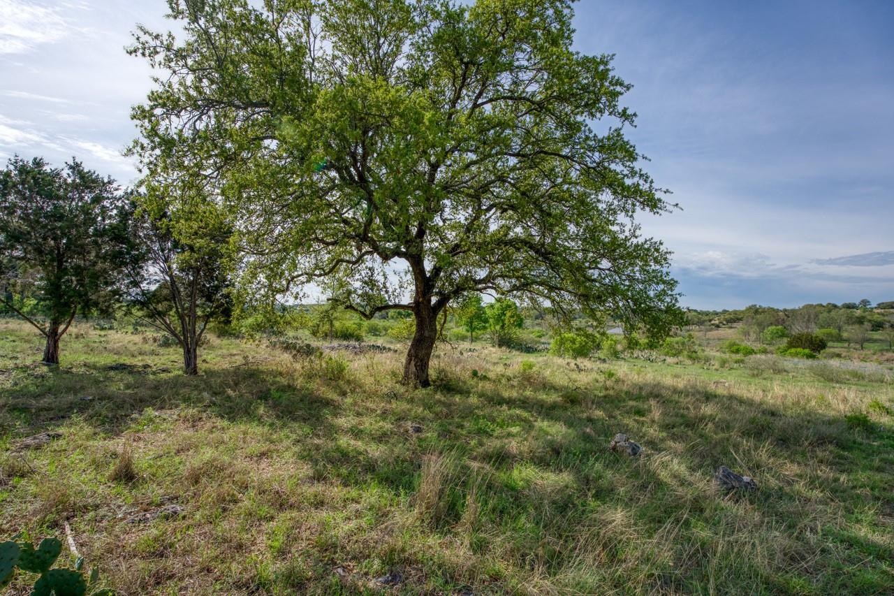 158 One River Pt Property Photo 13